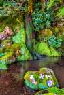 Small waterfall, Ginkaku-ji Temple, Kyoto, Japan. Built in 1460 by Ashikaga Yoshimasa. Art Print